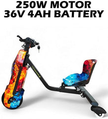 WINDHORSE Electric Stunt Drifting Scooter